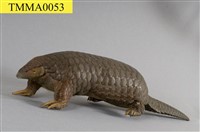 藏品(臺灣鯪鯉)的圖片